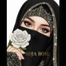 Roja Rose